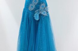 Blue princess dress