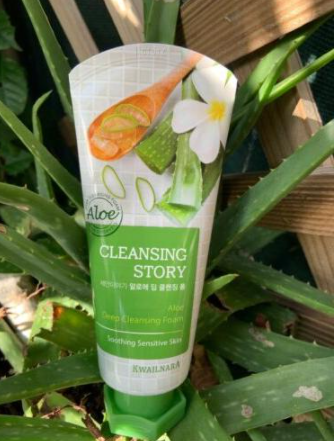 Kwailnara – Cleansing Story Deep Cleansing Foam – Aloe (Soothing Sensitive Skin)