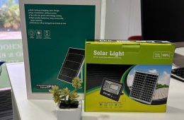 Solar panel with solar light